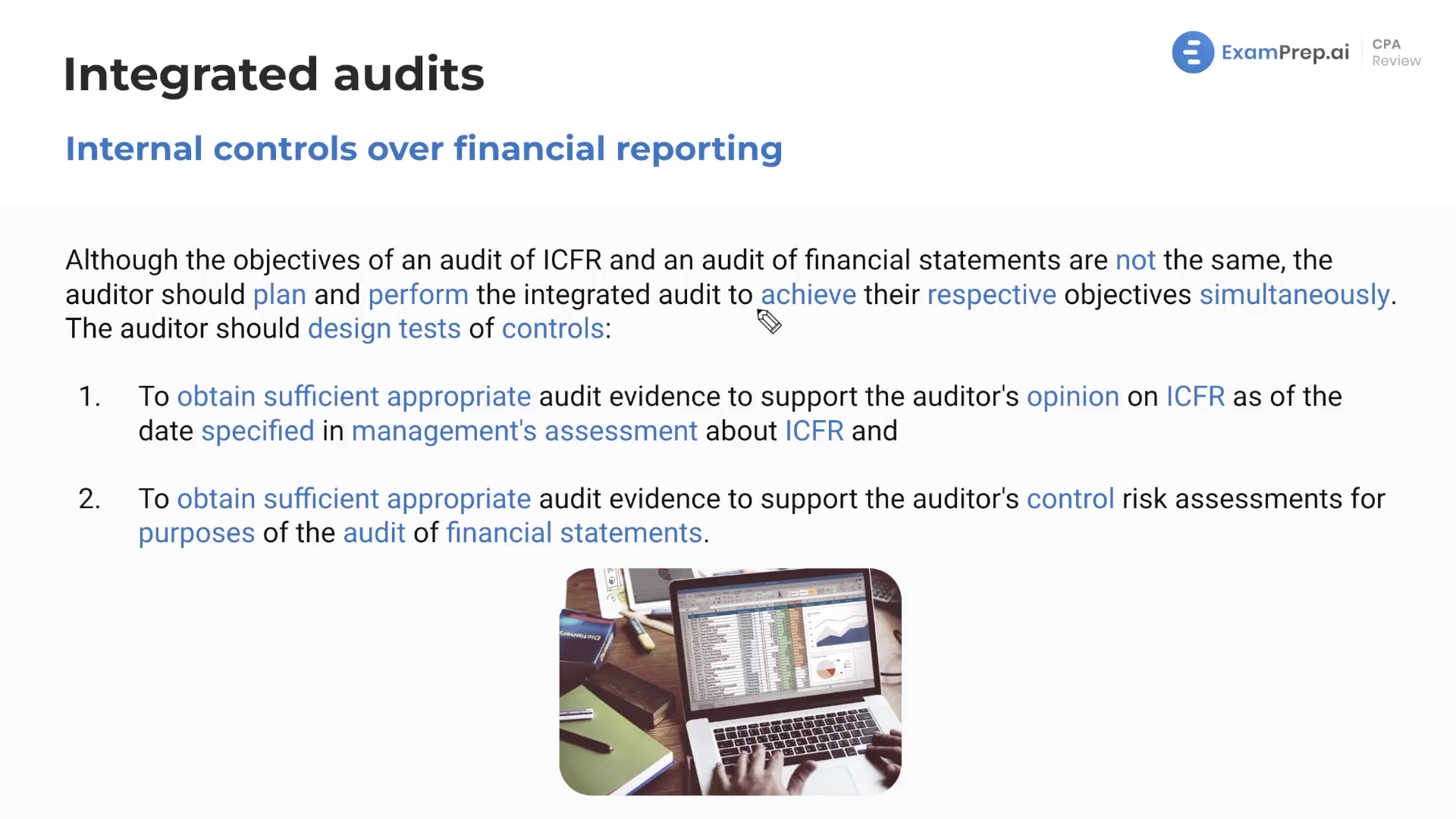 Internal Control Audits lesson thumbnail