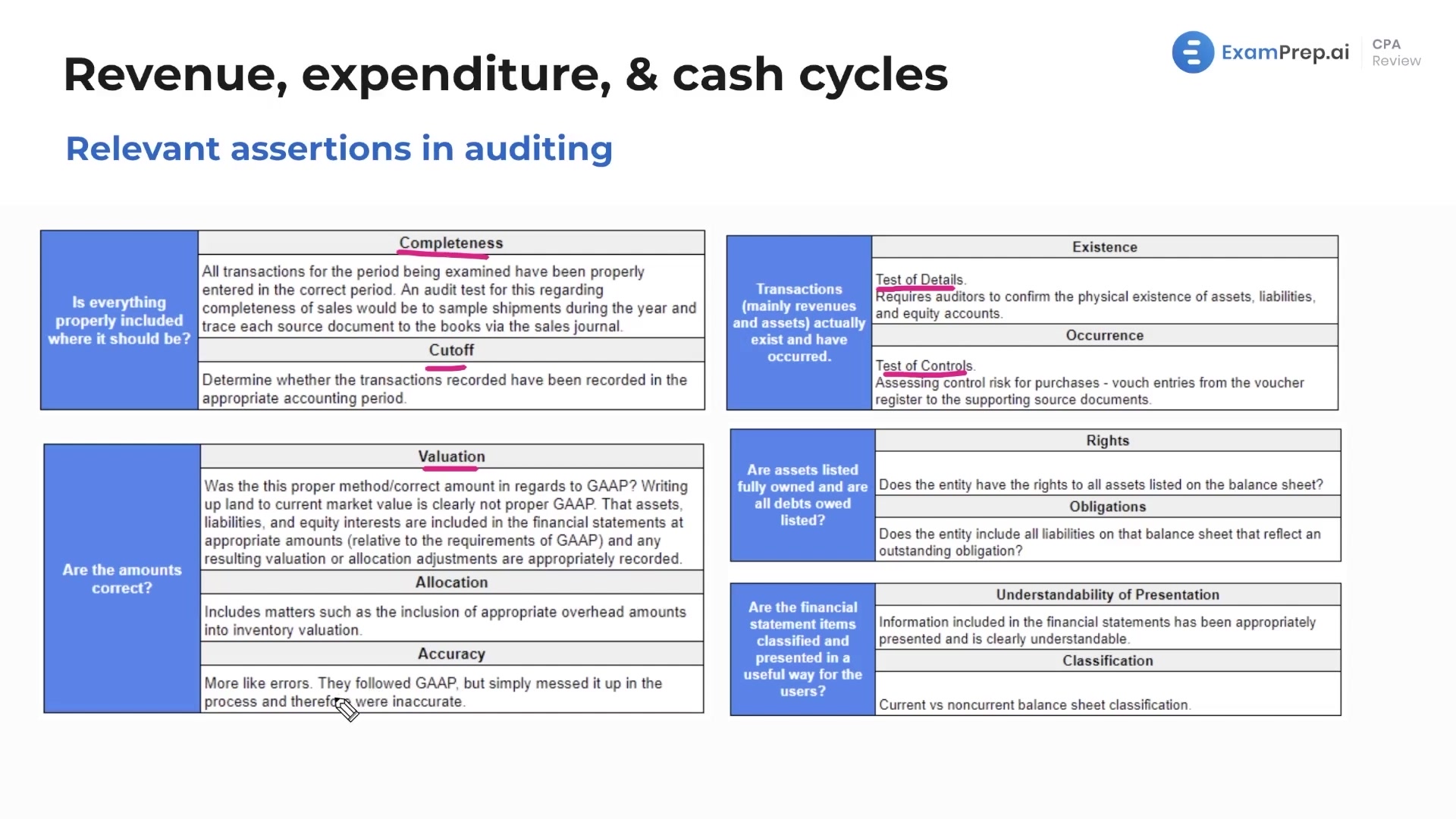 Assertions in Auditing lesson thumbnail