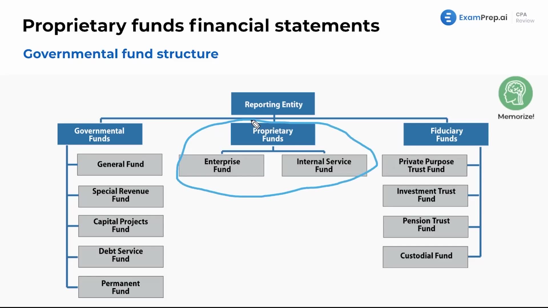 Governmental Fund Structure lesson thumbnail
